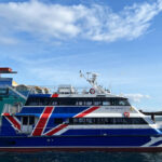 Seattle: Half-Day Wildlife and Whale Watching Cruise - Authentic Insights from Traveler Reviews