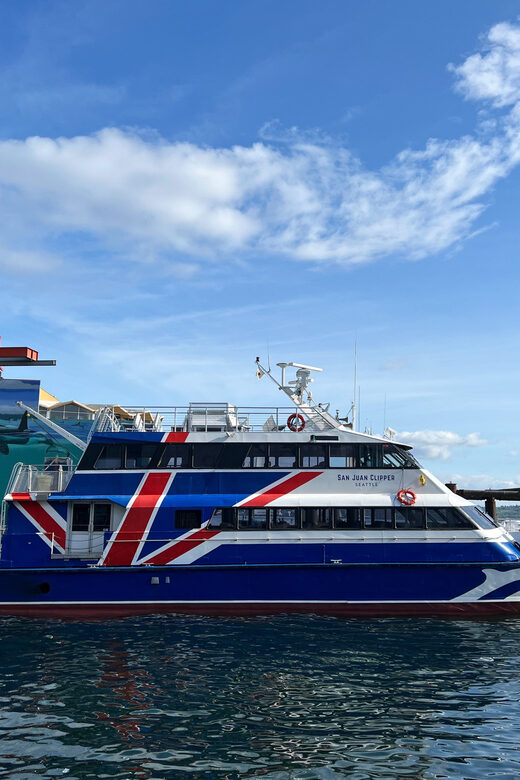 Seattle: Half-Day Wildlife and Whale Watching Cruise - Authentic Insights from Traveler Reviews