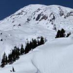 Seattle: Mt. Rainier Hiking w/ Waterfalls, Glaciers & Trees - Authentic Experiences and Tips from Travelers