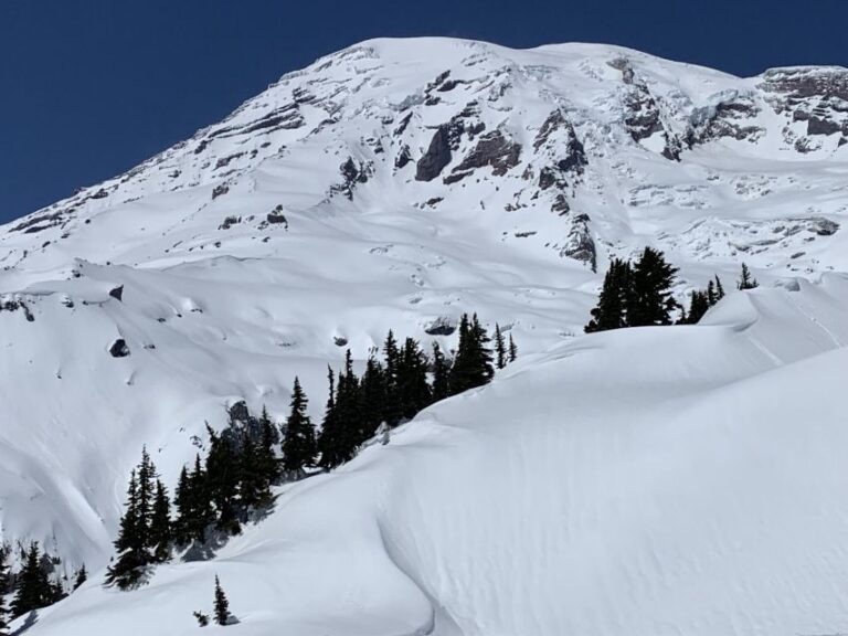 Seattle: Mt. Rainier Hiking w/ Waterfalls, Glaciers & Trees - Authentic Experiences and Tips from Travelers