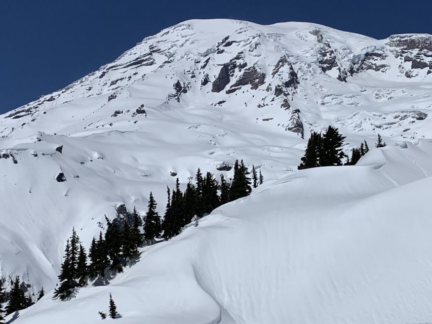 Seattle: Mt. Rainier Hiking w/ Waterfalls, Glaciers & Trees - Authentic Experiences and Tips from Travelers