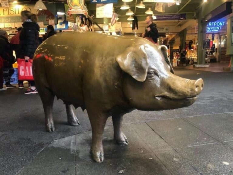 Seattle: Plant-Based in Pike Place Food Tour (GF available) - Authenticity and Value for Money
