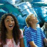 SeaWorld Orlando: Park Admission Ticket - Marine Encounters and Educational Experiences