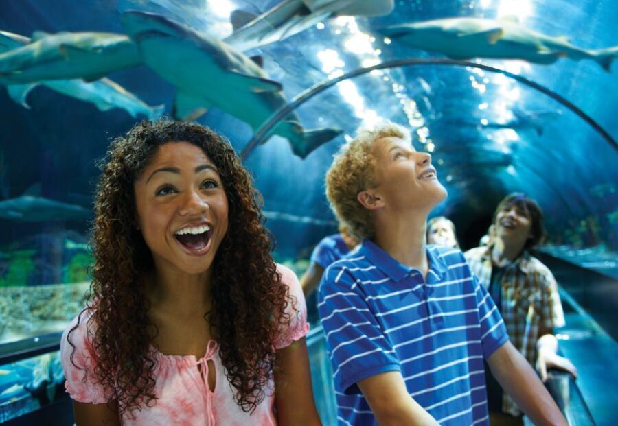 SeaWorld Orlando: Park Admission Ticket - Marine Encounters and Educational Experiences