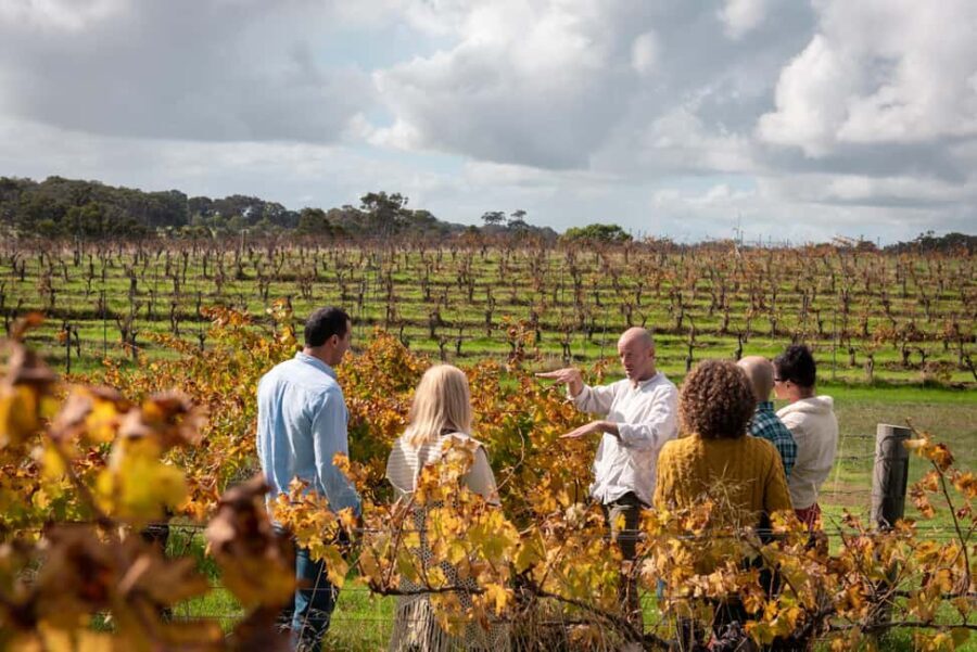 Secret Delights: Wine, Coffee, Artisan and Forest Tour - An In-Depth Look at the Secret Delights Tour