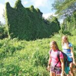 Secret Falls Kayak and Hike in Kauai - Exploring Kauai’s Best-Kept Secret: The Full Experience