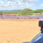 Secret Kauai Canyons & Coastlines Tour - The Experience of a Small Group