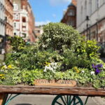 Secrets of London Covent Garden & Rules Restaurant Tour - Landmark Sightings with a Historic Twist