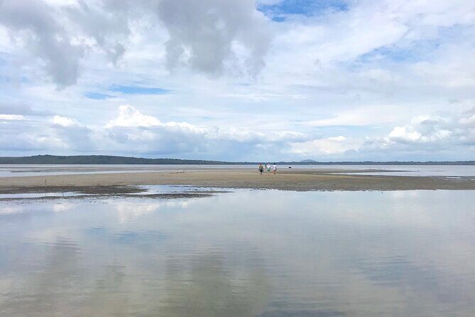 Secrets of Noosa Tour with Oceanview Lunch, Nature & Noosa River Ferry - A Deep Dive into the Noosa Secrets Tour