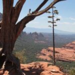 Sedona: PRIVATE 2-Hour Colorado Plateau Scenic Jeep Tour - Who Will Love This Tour?