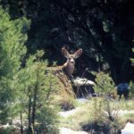 Sedona: PRIVATE 2-Hour Lil' Outlaw Trail Jeep Tour - Final Thoughts: Why Choose the Lil’ Outlaw Trail Jeep Tour?