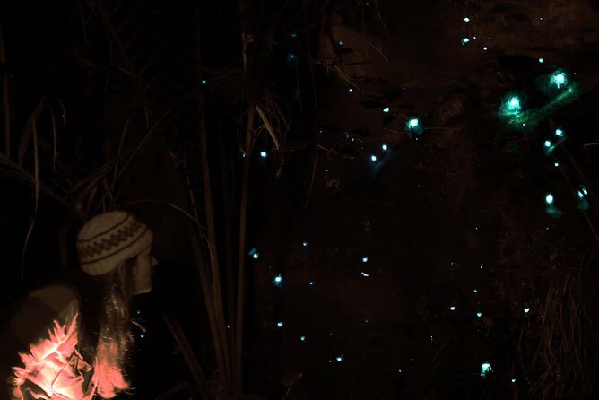 See Auckland's Secret Glow Worms - Final Thoughts