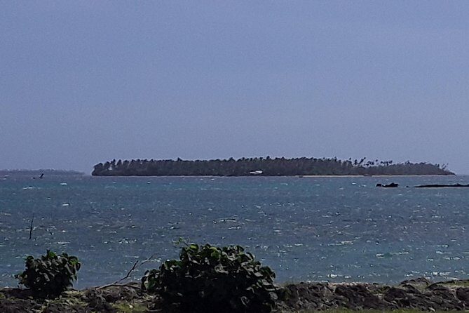 See Hear and Experience Full Island tour - Final Thoughts: Is This Tour for You?