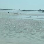 See the 5 Most Visited Points in Progress - The Practicalities