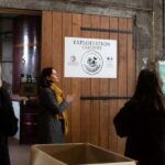 Segonzac: visit a family-run estate: G and C Raby - Final Thoughts