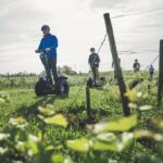 Segway ride between Lac Bleu and the castles of Pessac-Léognan - What to Expect on Your Ride