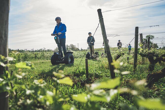 Segway ride between Lac Bleu and the castles of Pessac-Léognan - What to Expect on Your Ride