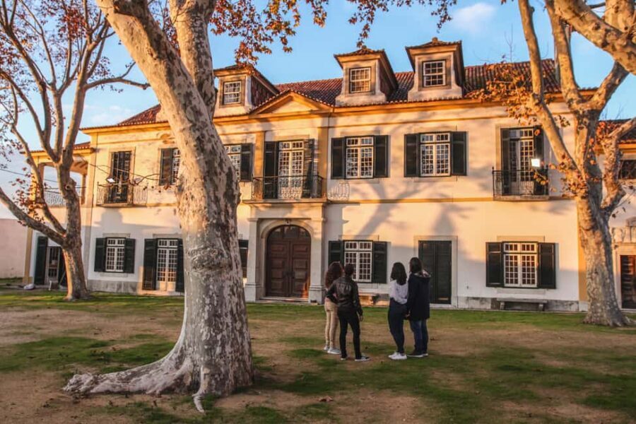 Seixal: Guided Walking Tour with Pastel de Nata - Value and Practicalities