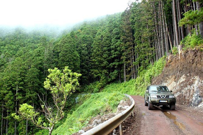 Seize your day in São Miguel with a 4x4 private tour - Why This Tour Offers Great Value