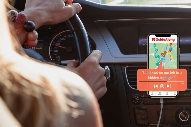 Self-Guided Audio Driving Tour in Petrified Forest National Park - What Travelers Say