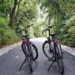 Self Guided Bike Tour on the Tralee to Fenit Greenway - Who Should Consider This Tour?
