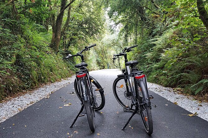Self Guided Bike Tour on the Tralee to Fenit Greenway - Who Should Consider This Tour?