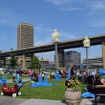 Self-Guided Buffalo Scavenger Hunt: Roaming Buffalo - Why This Tour Offers Value