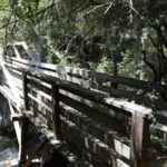 Self-Guided Calaveras Scavenger Hunt: UnFROGettable Angels Camp - The Itinerary: What to Expect