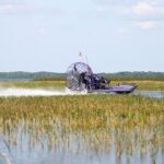 Self Guided Driving Audio Tour of Everglades National Park - Final Thoughts: Is This Tour Worth It?