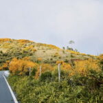 Self-Guided E-Bike Road Tour - Camacha to Monte with Lunch - A Detailed Look at the Tour