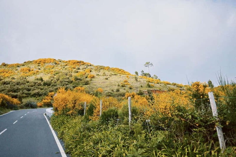 Self-Guided E-Bike Road Tour - Camacha to Monte with Lunch - A Detailed Look at the Tour