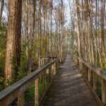 Self Guided E-Bike Tour of Panama City Beach - What to Expect from the Experience