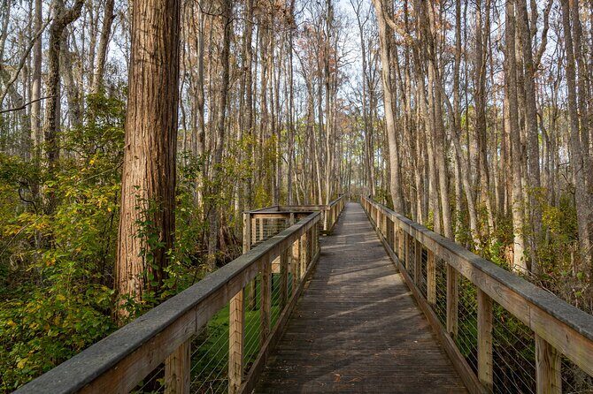 Self Guided E-Bike Tour of Panama City Beach - What to Expect from the Experience