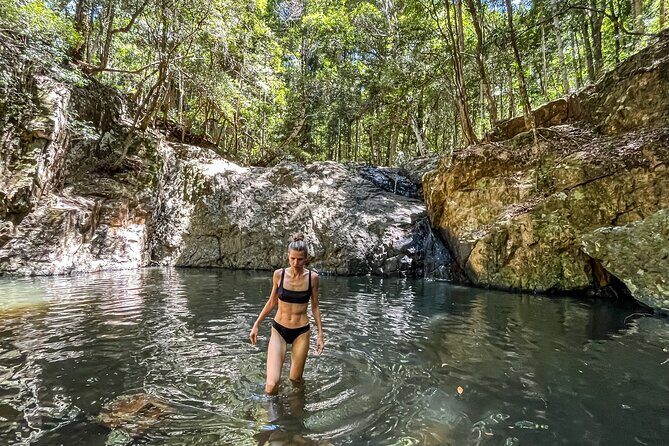 Self Guided E Bike Tour - Unicorn Falls, Rainforest & Rail Trail - Who Should Consider This Tour?