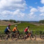 Self Guided Ebike Winery Tour in the Adelaide Hills - An In-Depth Look at the Self-Guided Ebike Winery Tour