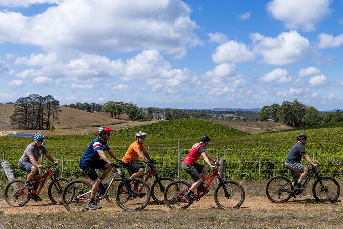 Self Guided Ebike Winery Tour in the Adelaide Hills - An In-Depth Look at the Self-Guided Ebike Winery Tour