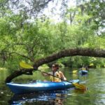 Self Guided Family Friendly Kayak Rental Experience Old Florida - What to Expect on Your Kayaking Adventure
