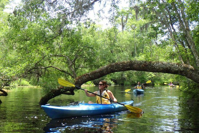Self Guided Family Friendly Kayak Rental Experience Old Florida - What to Expect on Your Kayaking Adventure