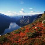 Self-Guided Full Day Round-trip From Bergen - Who Should Consider This Tour?