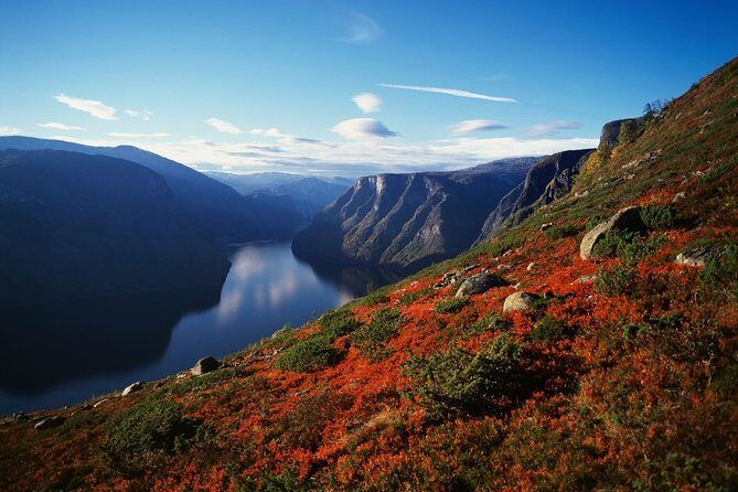 Self-Guided Full Day Round-trip From Bergen - Who Should Consider This Tour?