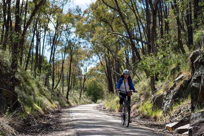 Self-Guided Gourmet Culinary Cycling Day Tour From Beechworth - Why This Tour Works Well for You