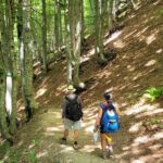 Self-Guided Hiking Tour: Theth, Valbona & Koman Lake in 3 Days - The Value of the Experience