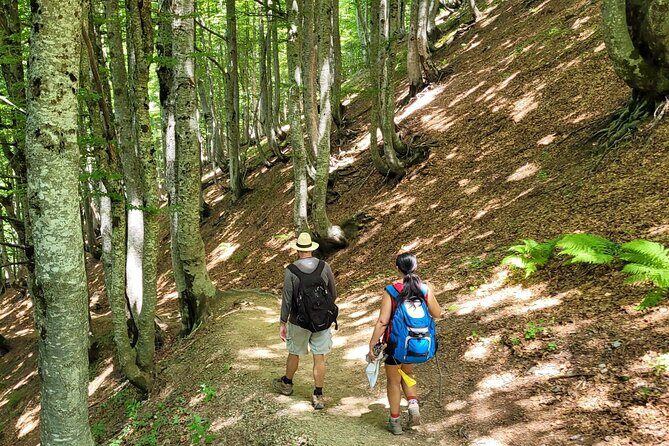 Self-Guided Hiking Tour: Theth, Valbona & Koman Lake in 3 Days - The Value of the Experience