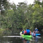 Self-Guided Kayaking: Real Florida Adventure - Introduction: A Relaxed Paddle Through Old Florida