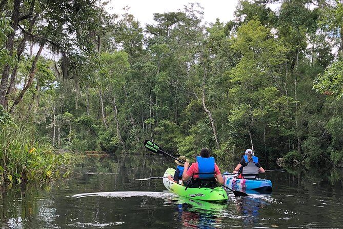 Self-Guided Kayaking: Real Florida Adventure - Introduction: A Relaxed Paddle Through Old Florida