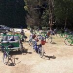 Self Guided Martinborough Wineries Bike Tour - Who Should Consider This Tour?