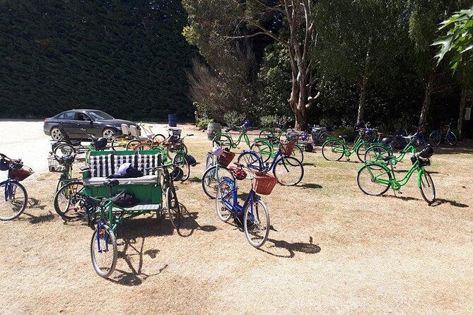 Self Guided Martinborough Wineries Bike Tour - Who Should Consider This Tour?
