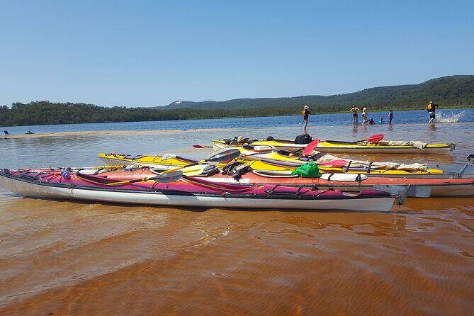 Self-Guided Noosa Everglades Kayak Tour - The Value Proposition