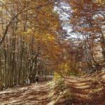 Self-guided: Peaks of the Balkans Tour in 8 days - FAQs