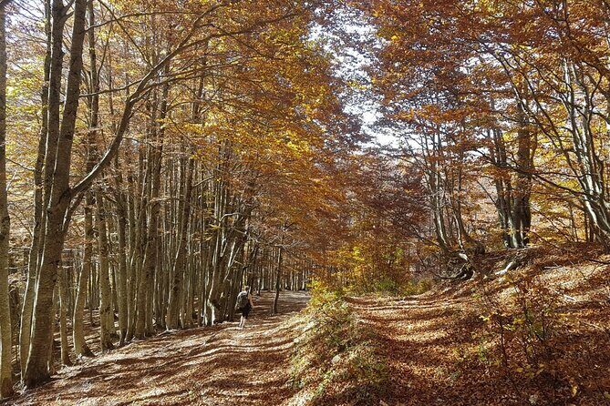 Self-guided: Peaks of the Balkans Tour in 8 days - FAQs